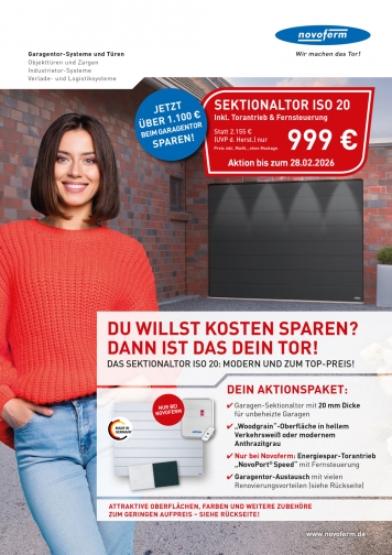 Aktion Sektionaltor ISO 20